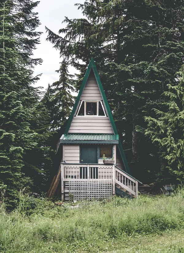 Cool tiny cabin in the woods