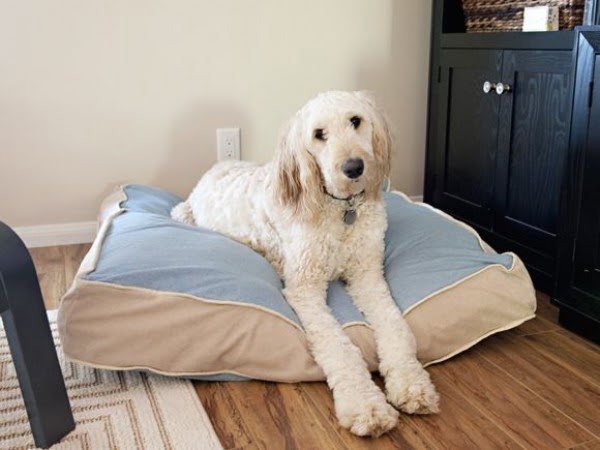 Cushion  Dog Bed