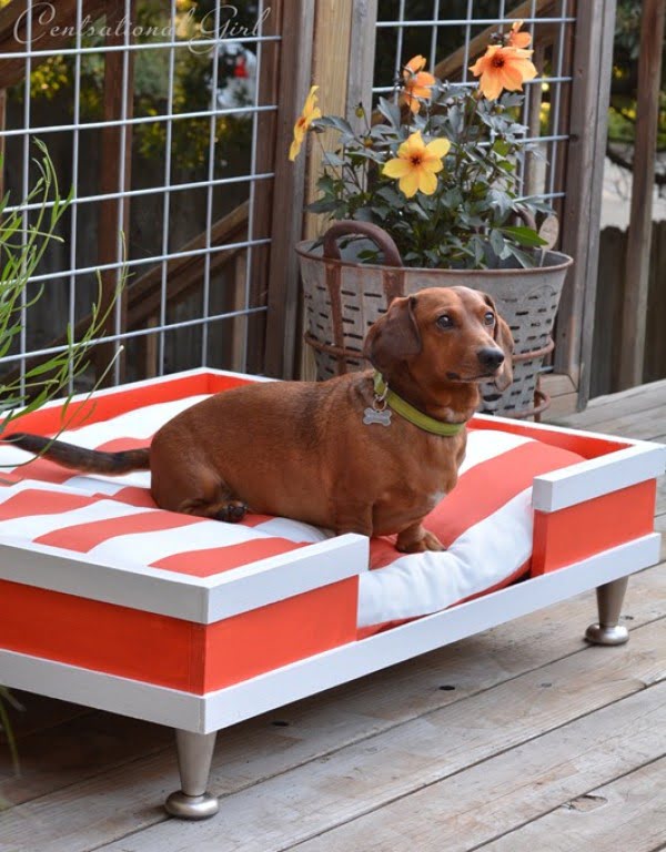 20 Adorable Easy DIY Dog Bed Ideas (Wooden and No-Sew)