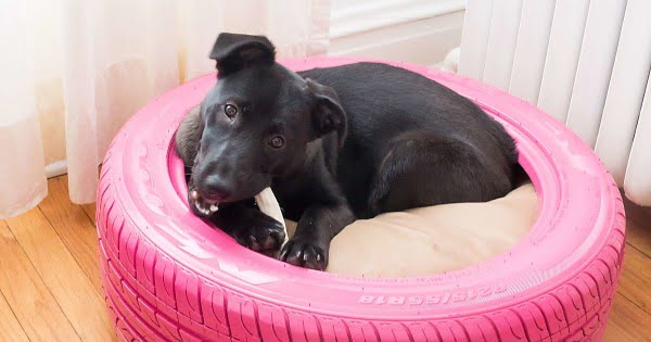 Upcycled  Dog Bed from an Old Tire