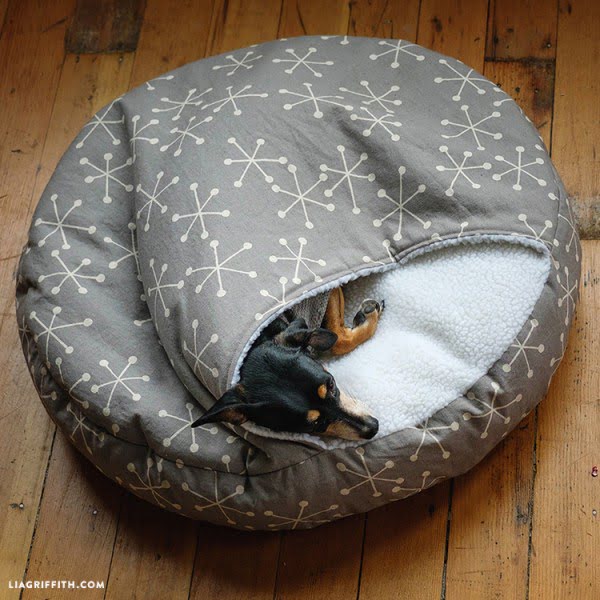 20 Adorable Easy DIY Dog Bed Ideas (Wooden and No-Sew)