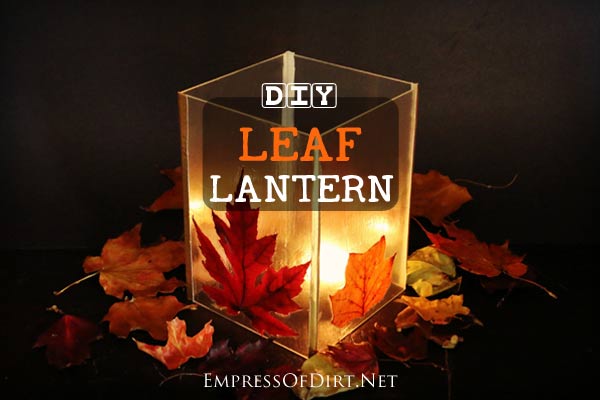 How to make  leaf lanterns 