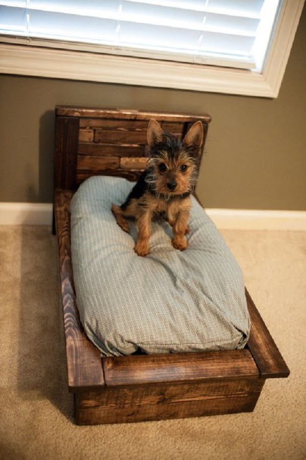 20 Adorable Easy DIY Dog Bed Ideas (Wooden and No-Sew)