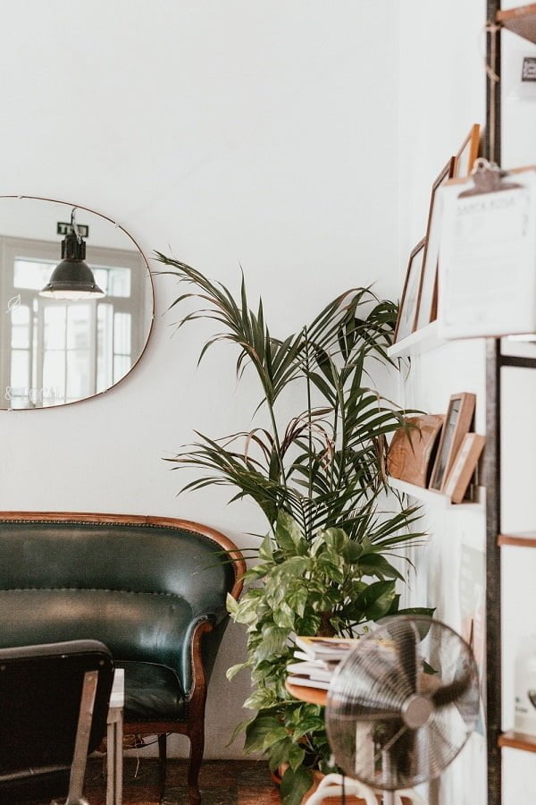 31 Fresh Ideas for Decorating with Houseplants