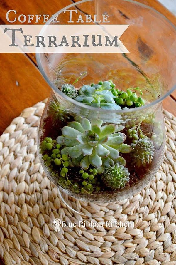  Coffee Table Centerpiece Succulent Terrarium 