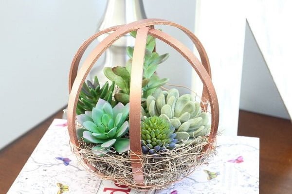  Embroidery Hoop Succulent Terrarium 