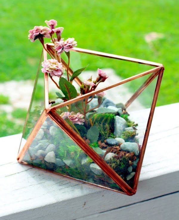  Geometric Succulent Terrarium 