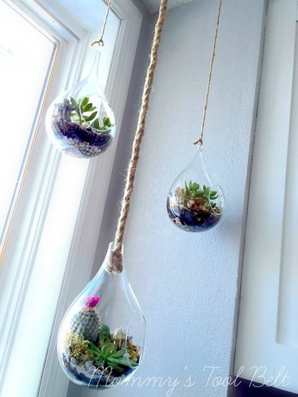  Hanging Globe Succulent Terrarium 