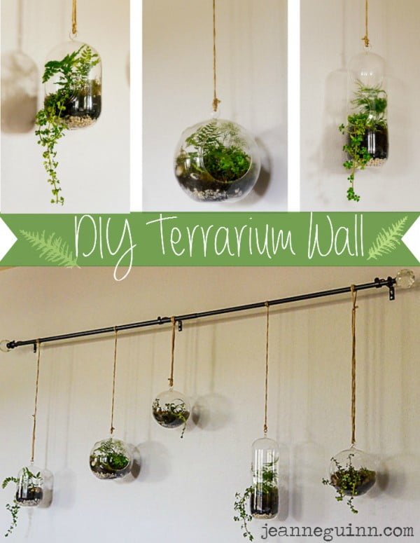  Hanging Succulent Terrarium Wall 