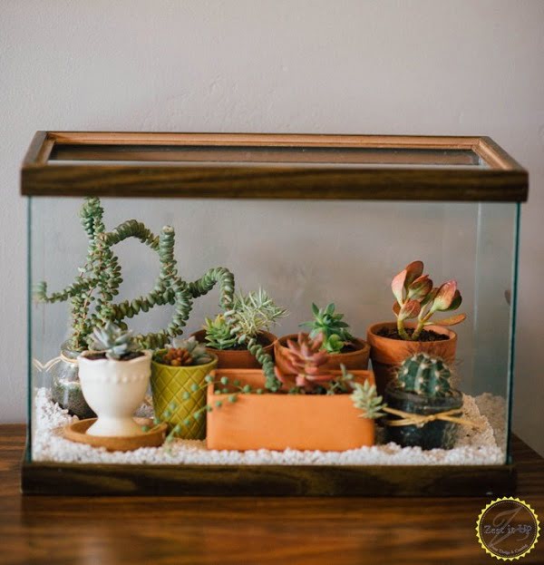  Succulent Terrarium from a Fish Tank 