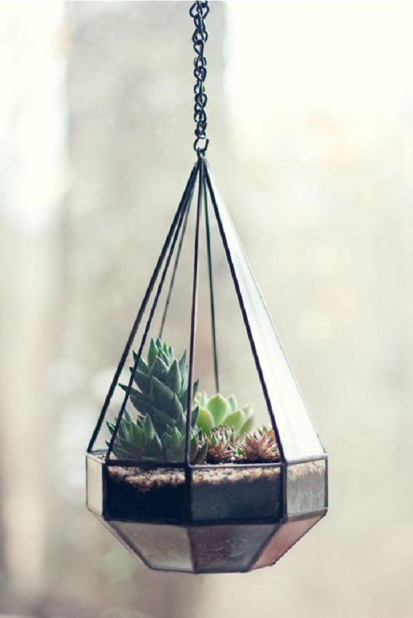 Hanging  Succulent Terrarium 