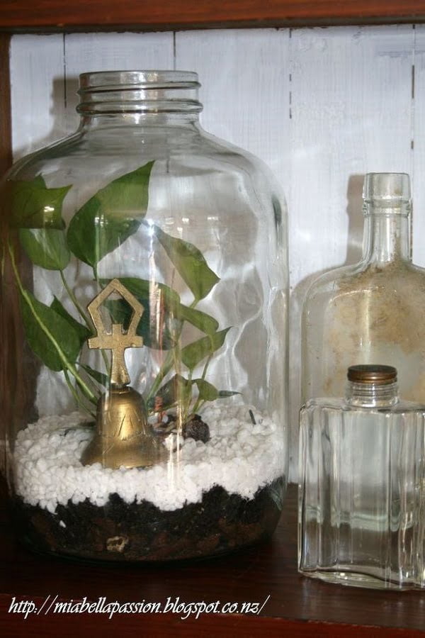  Bottle Succulent Terrarium 