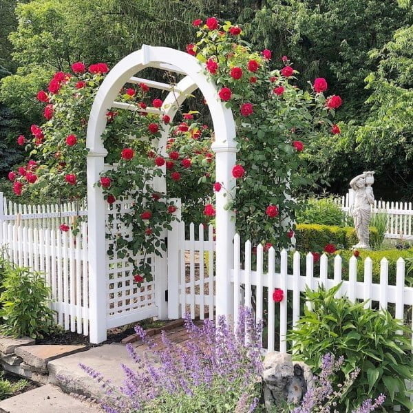 White Picket Fence with Rose Arbor 