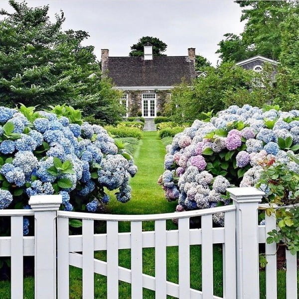 Flat Top White Picket Fence 