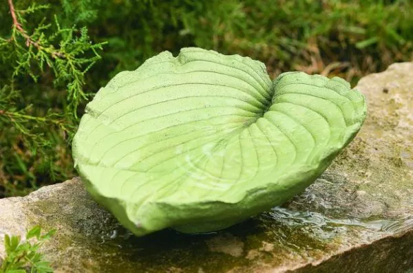 DIY Leaf Bird Bath