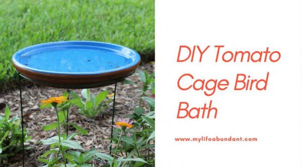 DIY Tomato Cage Bird Bath   