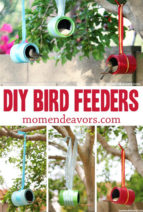 DIY Bird Feeders   