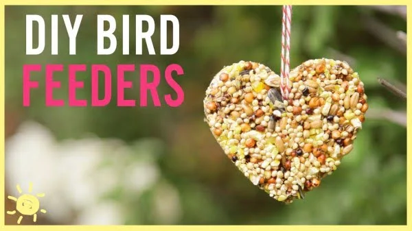How to Make a Bird Feeder (Easy Kids Craft!)   