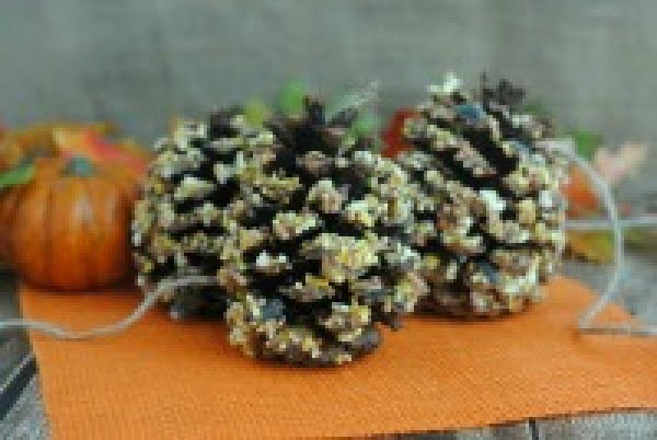 Easy Fall Crafts Using Pine Cones: Homemade Pine Cone Bird Feeders   