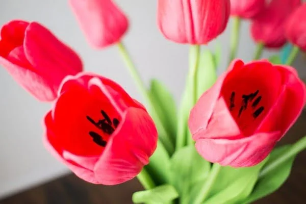 DIY Faux Tulip Arrangement for Spring