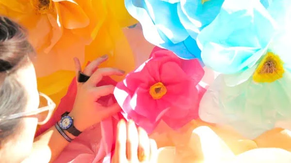 DIY Tissue Paper Flowers Inspired by Alice   