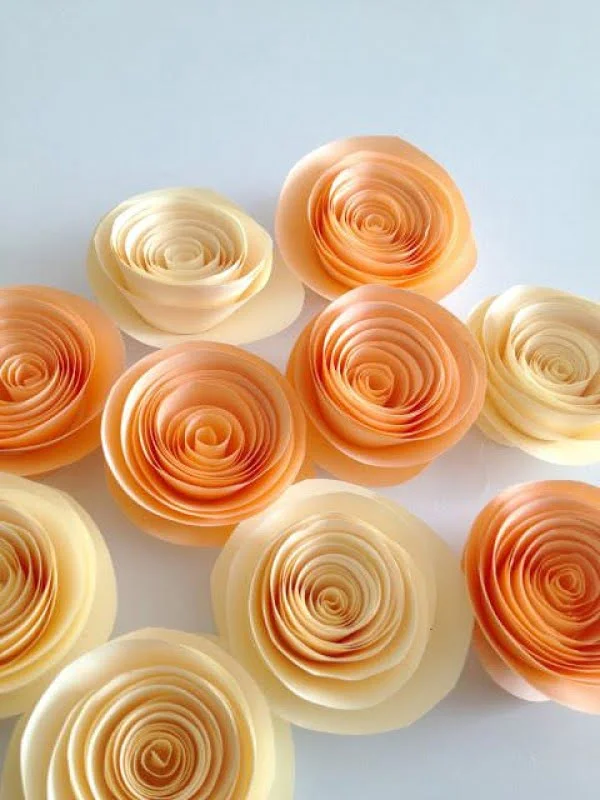 DIY Paper Flowers • The Budget Decorator   