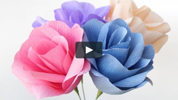 DIY Crepe Paper Flowers   