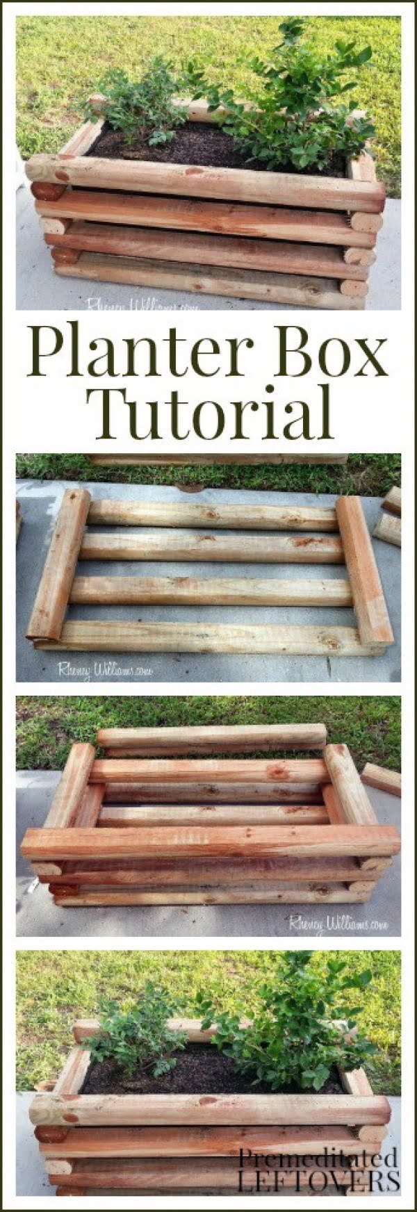 DIY Planter Box for Berries and Other Fruits    