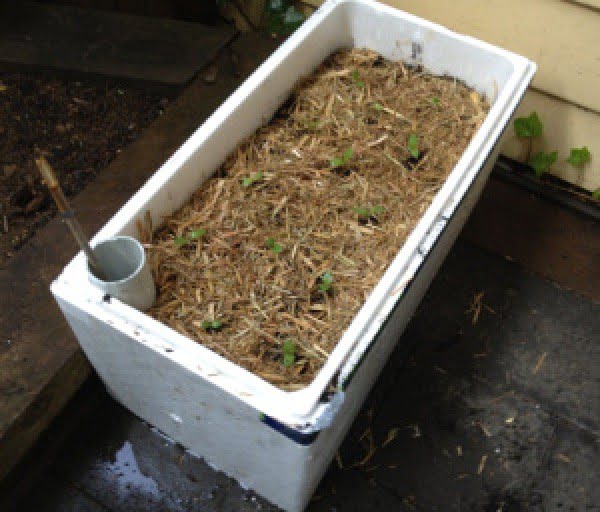 DIY Self Watering Planter Box    
