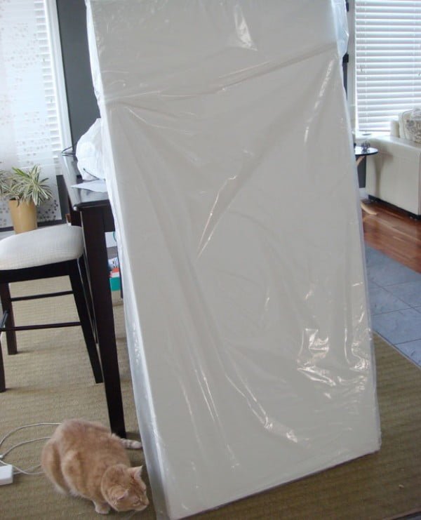 DIY room divider with artist canvas