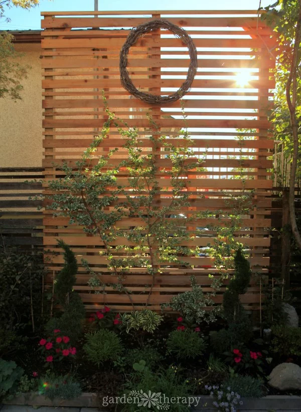 A DIY Espalier Privacy Screen for the Backyard - Garden Therapy    