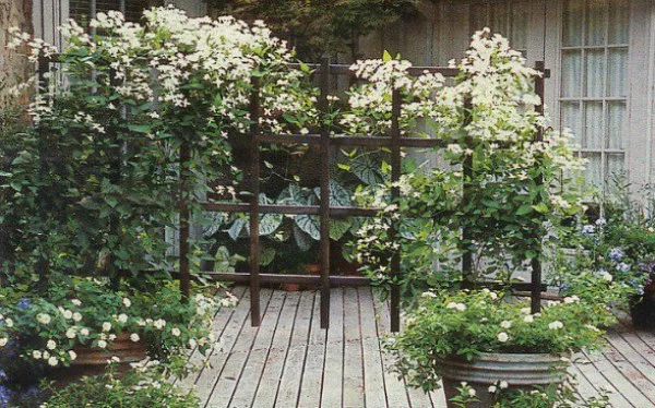 A Privacy Trellis You Really Can DIY - The Good Men Project    