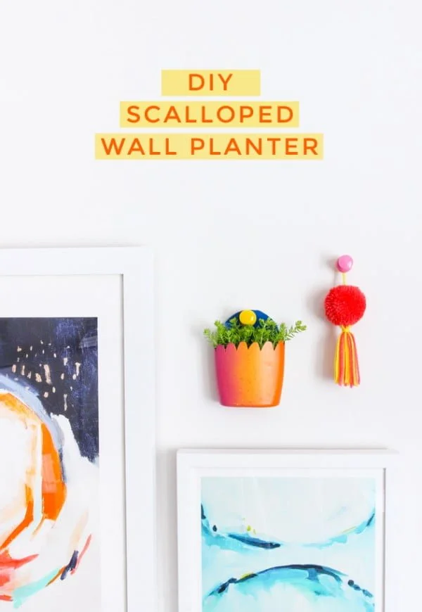 28 Easy DIY Wall Planters to Green Up Your Home Walls