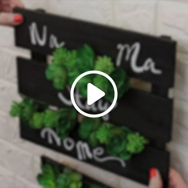 28 Easy DIY Wall Planters to Green Up Your Home Walls
