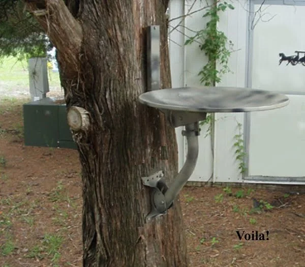 DIY bird bath made from a satellite dish