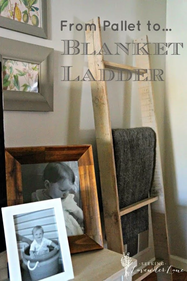 Seeking Lavendar Lane     