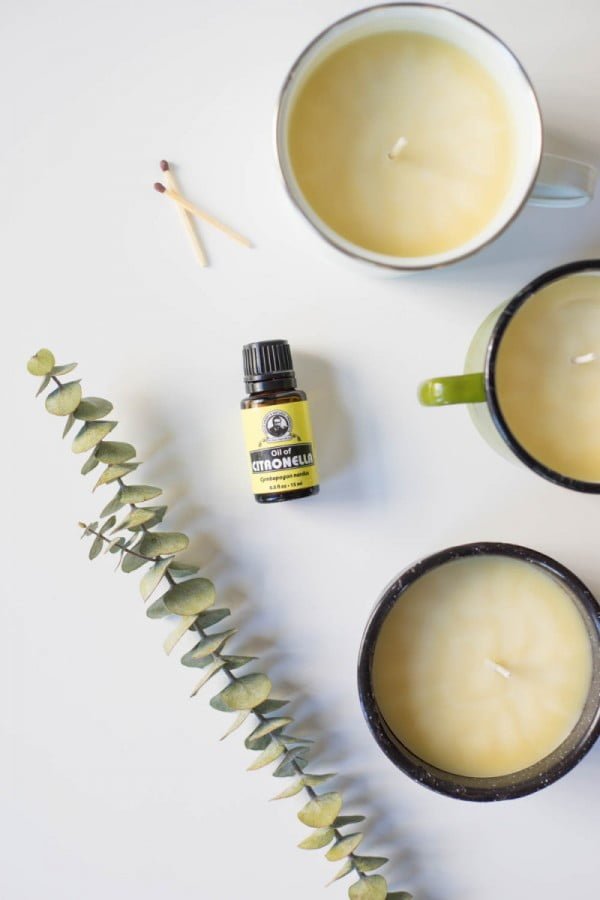 Try This: D.I.Y. Citronella & Eucalyptus Candle