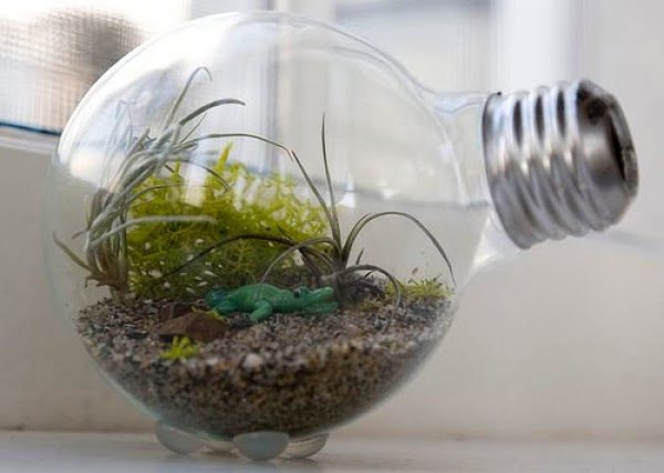 DIY: How to make a light bulb terrarium
