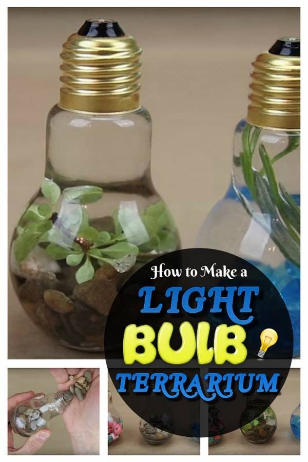 DIY Light Bulb Terrarium: An Enlightening DIY Project You Can Make in Less than 5 Minutes