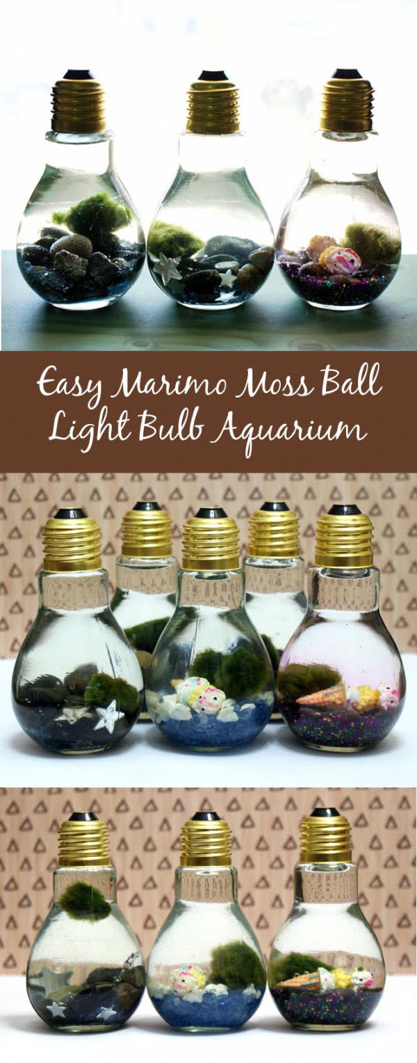 Easy DIY Light Bulb Aquarium