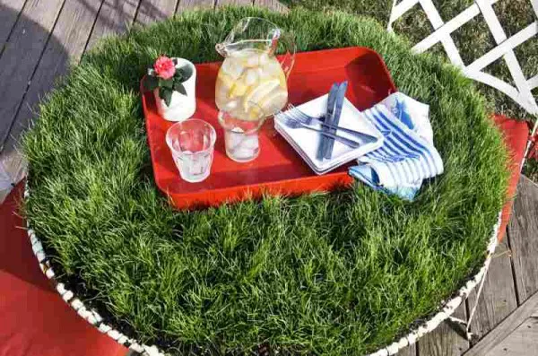 Grass-Covered DIY Picnic Table     