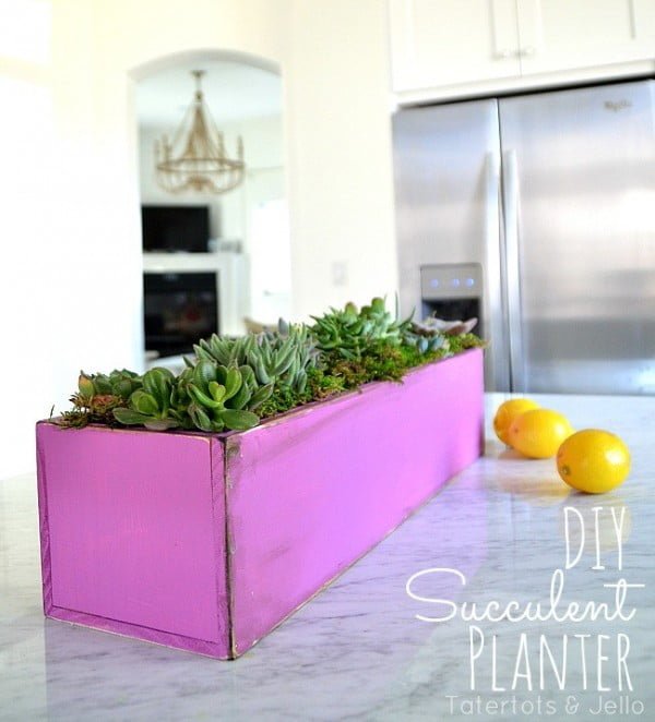 DIY Wooden Succulent Planter