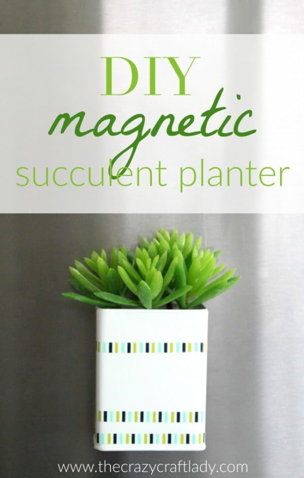 DIY Magnetic Succulent Planter