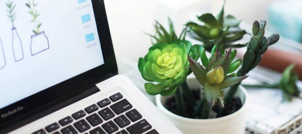 DIY Succulent Pen Planter