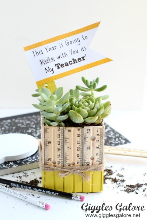 DIY Succulent Ruler Planter
