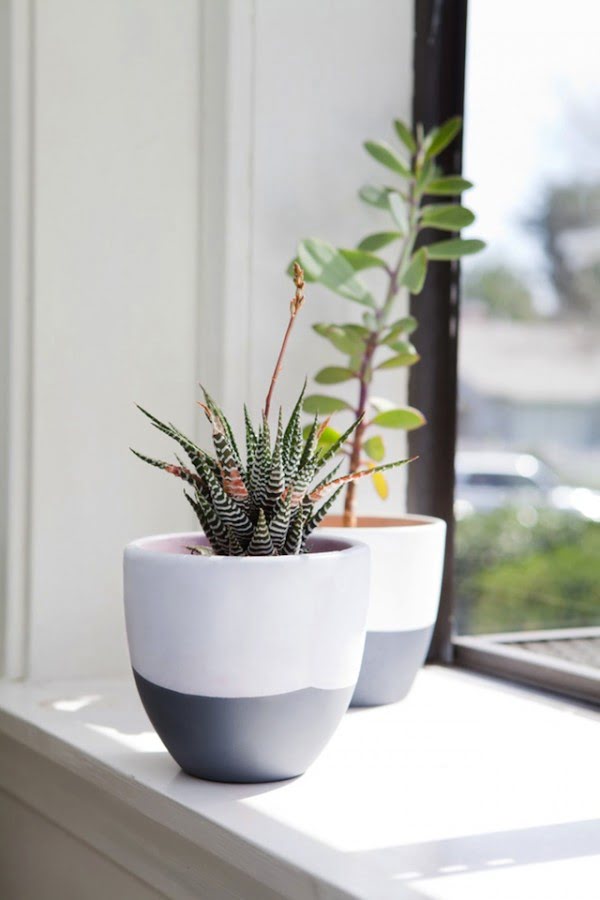 DIY // Succulent Pots