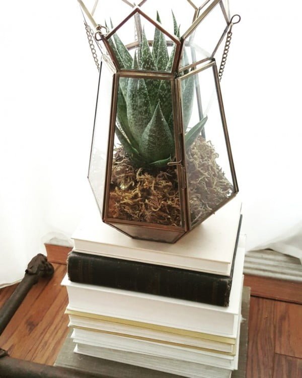 DIY: Succulent Planter
