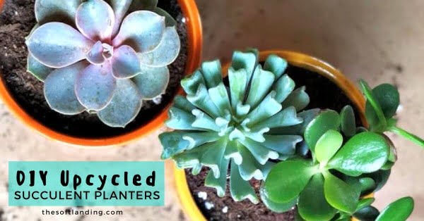 DIY upcycled succulent planter