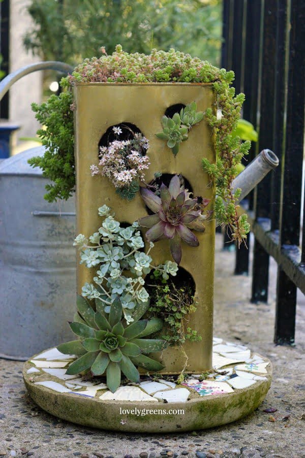 DIY Vertical Succulent Planter
