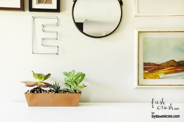 Modern DIY Succulent Planter